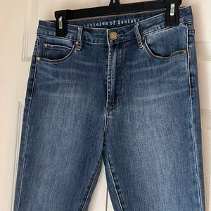 Articles of Society Jeans 29